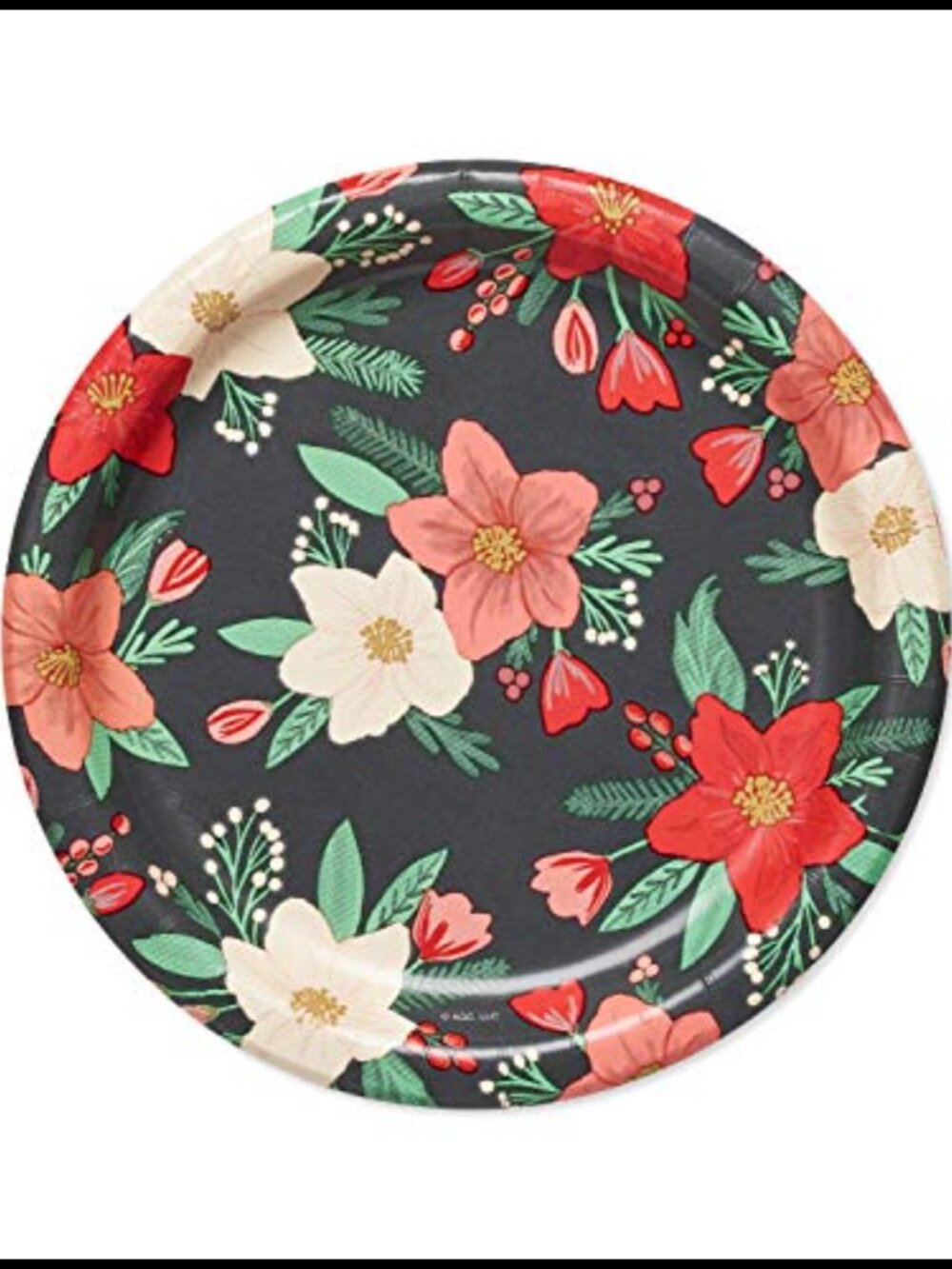 Winter Floral Dessert Plates 36-Count 7 Inch Round Party Plates